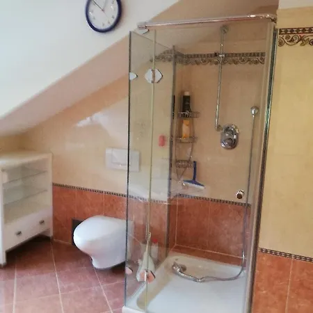 Apartment Rosemarie Wagner Grafenau (Bavaria)